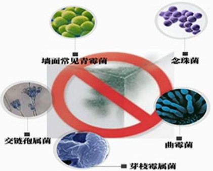 专业级防霉，跟顽固霉菌说再也不见！